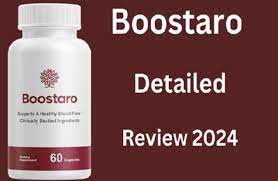 Boostaro: Empowering Personal Growth and Professional Development